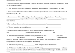 Dna Replication and Rna Transcription Worksheet Answers or Free Worksheets Library Download and Print Worksheets