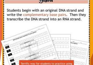Dna Replication and Transcription Worksheet Answers as Well as Dna Replication and Transcription Worksheet W Replication Simulation