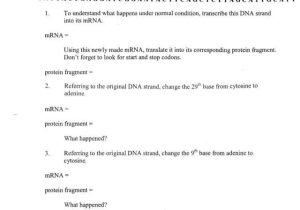 Dna Replication and Transcription Worksheet Answers or Worksheets 48 Re Mendations Protein Synthesis Worksheet Answers