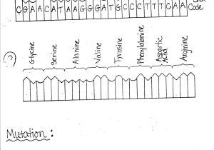 Dna Replication Practice Worksheet Answers as Well as Dna Replication Practice Worksheet Choice Image Worksheet Math for