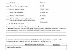 Dna Replication Practice Worksheet Answers or Dna Replication Practice Worksheet Choice Image Worksheet Math for