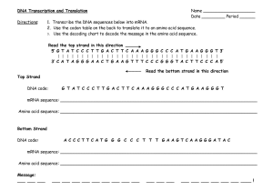 Dna Replication Practice Worksheet Answers together with Amoeba Sisters Dna Vs Rna and Protein Synthesis Worksheet