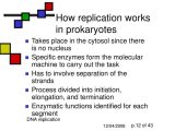 Dna Replication Practice Worksheet with Dna Replication Process Ppt Replication