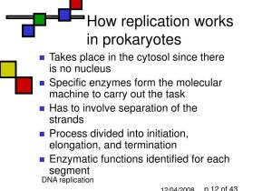 Dna Replication Practice Worksheet with Dna Replication Process Ppt Replication
