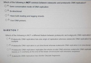 Dna Replication Worksheet Key Along with solved which the tolowings Not Mon Between Eukaryot