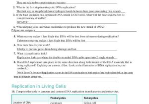 Dna Replication Worksheet Key Along with Worksheets 44 Inspirational Dna the Molecule Heredity Worksheet