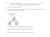 Dna Replication Worksheet Key and Dna Replication Worksheet Worksheets for All