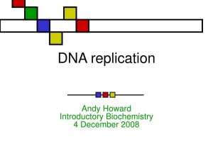 Dna Replication Worksheet or Ppt Dna Replication Powerpoint Presentation Id