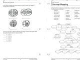 Dna Replication Worksheet Pdf as Well as Mitosis Prophase Diagram Inspirational Cell Division Worksheet Pdf