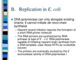 Dna Replication Worksheet together with Dna Replication Worksheet 21 Gallery Worksheet Math for Ki