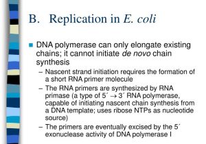 Dna Replication Worksheet together with Dna Replication Worksheet 21 Gallery Worksheet Math for Ki