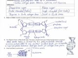 Dna Review Worksheet Answer Key as Well as 40 Luxury Dna Replication Worksheet Answer Key