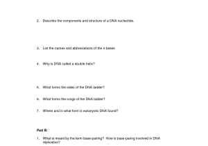 Dna Review Worksheet with Dna Worksheets Google Search Fitc Pinterest