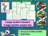 Dna Rna and Proteins Worksheet Answer Key or 15 Fresh Worksheet Dna Rna and Protein Synthesis Answer Key