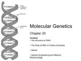 Dna Structure and Function Worksheet Also Unique Dna the Molecule Heredity Worksheet Beautiful Dna