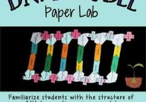 Dna Structure and Function Worksheet together with Dna the Molecule Heredity Worksheet Lovely Dna Structure Lab