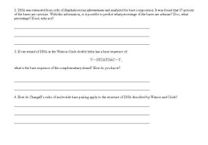 Dna Structure and Replication Review Worksheet Also Dna Replication Worksheet Worksheets for All