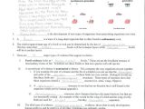 Dna Structure and Replication Review Worksheet or Worksheets 43 Fresh Dna Replication Worksheet Answers High