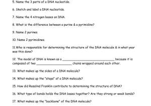 Dna Structure and Replication Worksheet Answer Key Along with Dna Replication Worksheet Key Gallery Worksheet for Kids In English