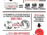 Dna Structure and Replication Worksheet Answer Key with 101 Best Dna Images On Pinterest