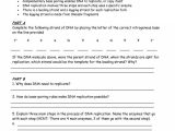 Dna Structure and Replication Worksheet Answers Along with Lovely Dna Replication Worksheet Answers Unique Dna Replication