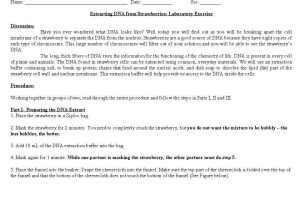 Dna Structure and Replication Worksheet or Lovely Dna Replication Worksheet Answers Beautiful Dna