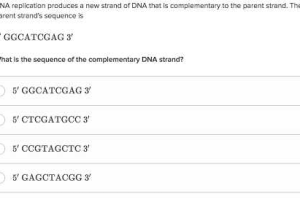 Dna Structure Quiz Worksheet Along with Dna as the Genetic Material Biology Science