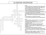 Dna Structure Worksheet Answer Key and Crossword Dna Puzzle and Answers Gallery Jymbarksheet Highest