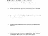 Dna Structure Worksheet Answer Key as Well as Dna Replication Worksheet Answers 4f03a9312a9b Battk