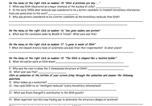Dna Structure Worksheet Answer Key or Worksheet Mutations Practice Image Collections Worksheet for Kids