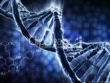 Dna Technology Worksheet Also Hd Quality Cool Dna Desktop Wallpapers 9 Siwallpapers