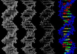Dna Technology Worksheet together with Ncsaampaposs Advanced Visualization Laboratory