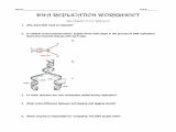 Dna the Double Helix Coloring Worksheet Answer Key and 17 New Graph Dna Replication Coloring Worksheet Answer Key