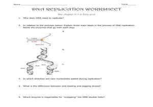 Dna the Double Helix Coloring Worksheet Answer Key and 17 New Graph Dna Replication Coloring Worksheet Answer Key