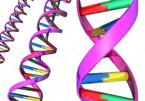 Dna the Double Helix Coloring Worksheet Key together with Illustration Of Dna Double Helix Stock Krisdog 6576