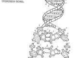 Dna the Double Helix Coloring Worksheet together with 43 Best Usmle Step 1 Images On Pinterest