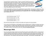 Dna the Double Helix Worksheet Also Inspirational Dna Replication Worksheet Answers Luxury Business Plan