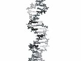 Dna the Molecule Of Heredity Worksheet Answers Also Science Technology Biology Genetics Dna Electronics Tech Gee