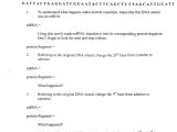 Dna to Rna to Protein Worksheet and Answering the Opposition In A Persuasive Essay Grammarly Protein