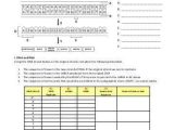 Dna to Rna to Protein Worksheet together with Lesson 4 Using Bioinformatics to Analyze Protein Sequences