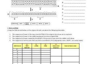 Dna to Rna to Protein Worksheet together with Lesson 4 Using Bioinformatics to Analyze Protein Sequences