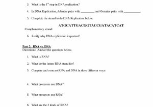 Dna Transcription and Translation Worksheet Along with Protein Synthesis Transcription and Translation Worksheet Image