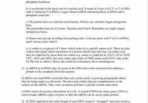Dna Transcription and Translation Worksheet and Dna Molecule Two Views Worksheet Answers Gallery Worksheet for