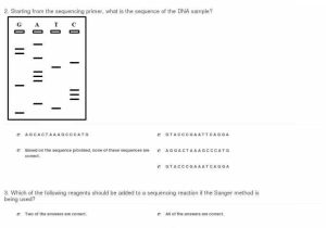 Dna Unit Review Worksheet and Worksheet Templates Quiz & Worksheet the Sanger Method Dna