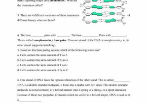 Dna Unit Review Worksheet with Worksheets 47 Re Mendations Dna the Molecule Heredity Worksheet