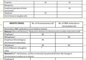 Dna Worksheet Answers Along with 12 Best Ap Biology Practice Test Images On Pinterest