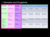 Domains and Kingdoms Worksheet Along with This Powerpoint is One Small Part Of My Taxonomy and Classification