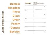 Domains and Kingdoms Worksheet and 70 Best Classification & Taxonomy Images On Pinterest