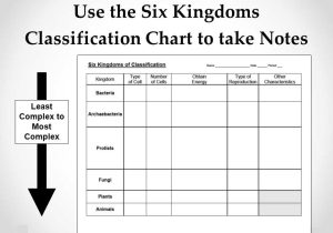 Domains and Kingdoms Worksheet and Six Kingdoms Classification Chart Thinkpawsitive