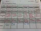 Domains and Kingdoms Worksheet with 124 Best 6th Grade Science Life Images On Pinterest